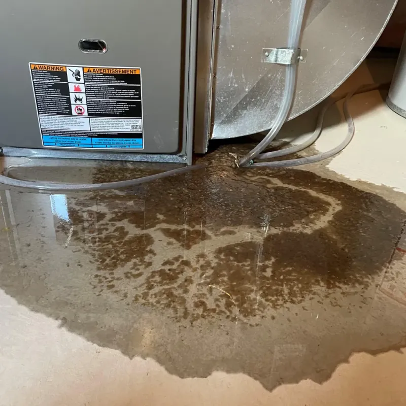 Appliance Leak Cleanup in West Blocton, AL